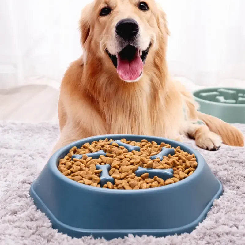 Slow Feeder Pet Bowl For Dogs & Cats - Anti Slip Design to Promote Healthy Eating