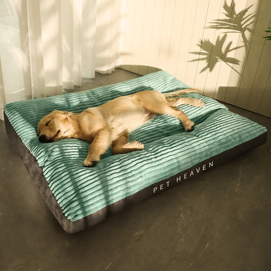 Snouty Washable Dog Bed